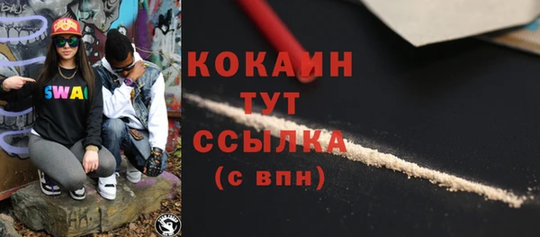 ешки Новодвинск