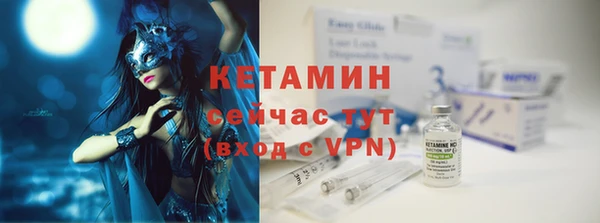 ешки Новодвинск