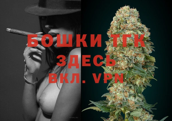 ешки Новодвинск