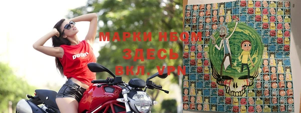 ешки Новодвинск
