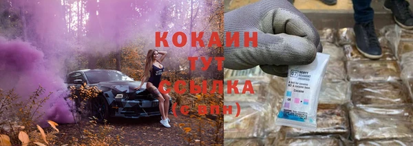 ешки Новодвинск