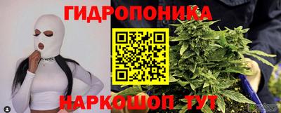 амф Гусь-Хрустальный