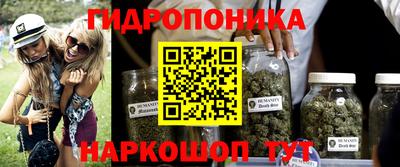 амф Гусь-Хрустальный