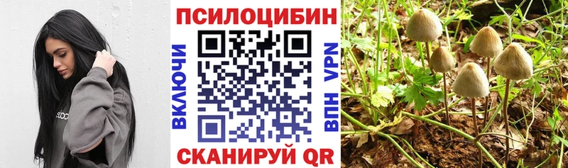 Псилоцибиновые грибы MAGIC MUSHROOMS  закладка  Миллерово 