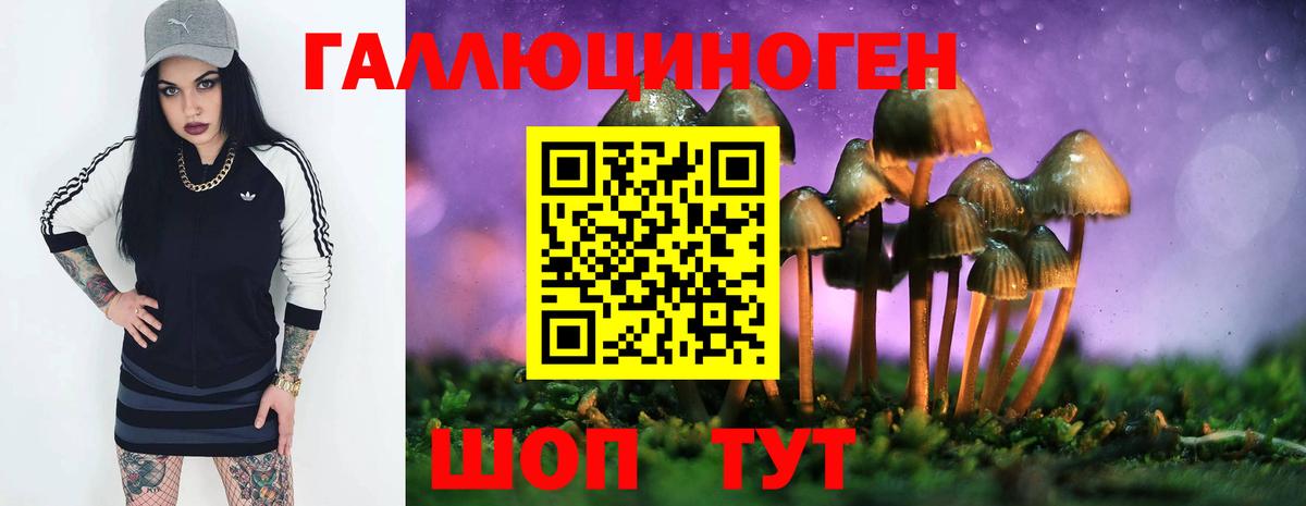 Псилоцибиновые грибы мицелий  Псилоцибиновые грибы MAGIC MUSHROOMS  Вход с VPN  Миллерово 